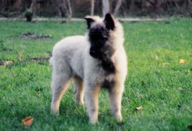 Album 2004 - 2008